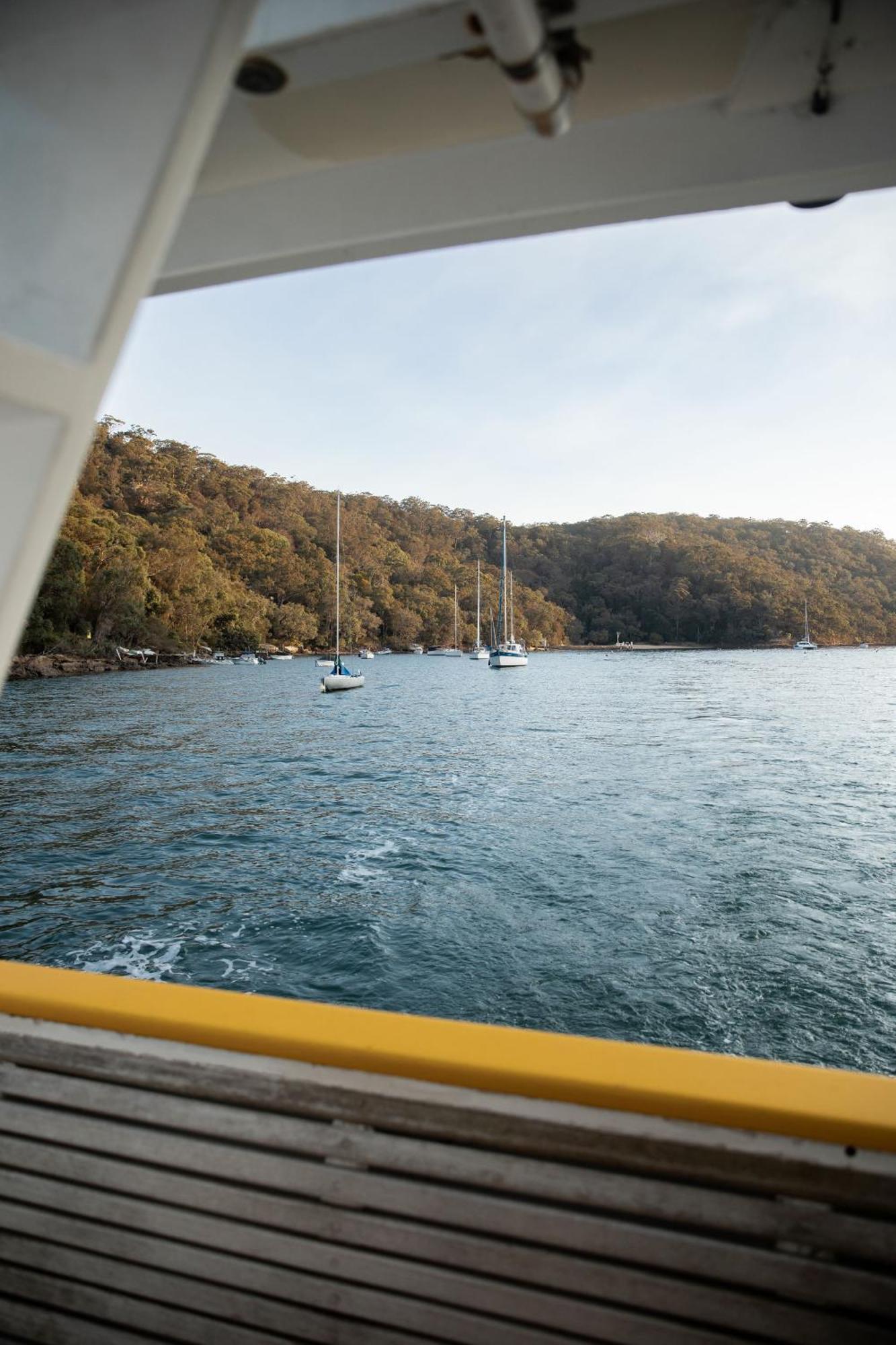 Cape Mackerel Cabin With Magic Palm Beach & Pittwater Views Villa Great Mackerel Beach Exterior foto